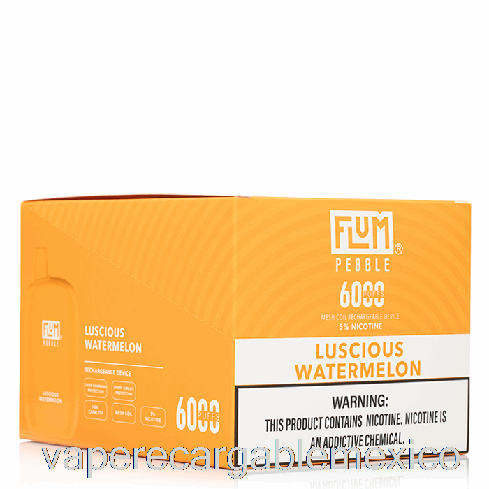Vape Recargable [paquete De 10] Flum Pebble 6000 Desechable